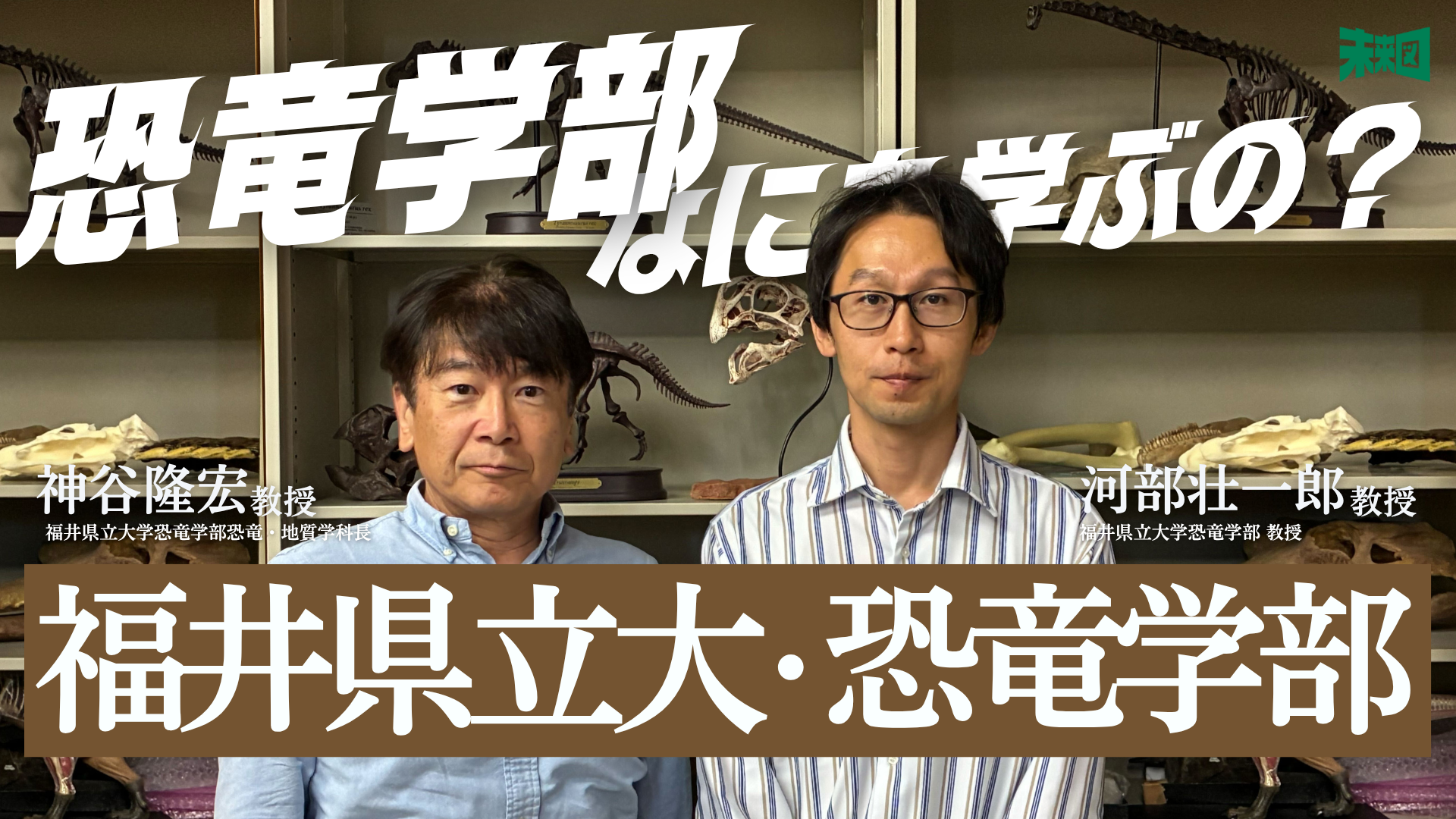 【中古】 福井県立大学 ２０１２/教学社 2025年最新】Yahoo!オークション -福井県立大学(大学別問題集